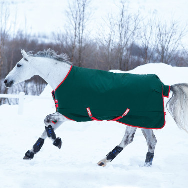Couverture d'extérieur Horseware Rambo Original 400g Couverture d'extérieur Horseware Rambo Original 400g