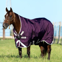 Couverture Horseware d'extérieur Rambo Wug 0g Violet / argent Couverture Horseware d'extérieur Rambo Wug 0g Violet / argent