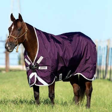 Couverture Horseware d'extérieur Rambo Wug 0g Violet / argent