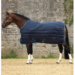 Couverture Horseware Amigo Insulator Plus Super 550g 420D