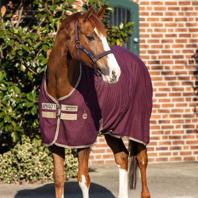 Chemise de box Horseware Amigo Delphinium 0g Figue / marine