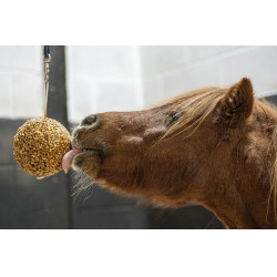 Likit Stall Ball Likit Stall Ball