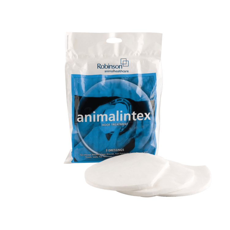 Pansement de pied Animalintex