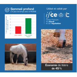 Matelas de box Pégase