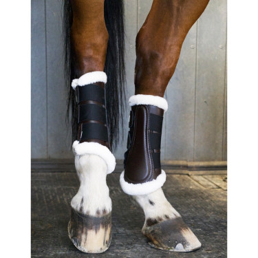 Guêtres dressage postérieurs T de T Guêtres dressage postérieurs T de T