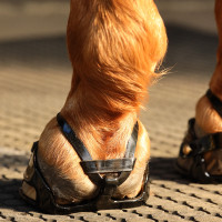 Scoot Boots Enduro Scoot Boots Enduro