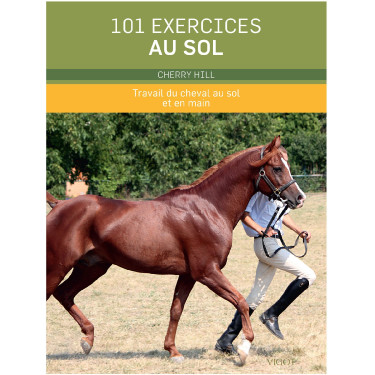 101 exercices au sol