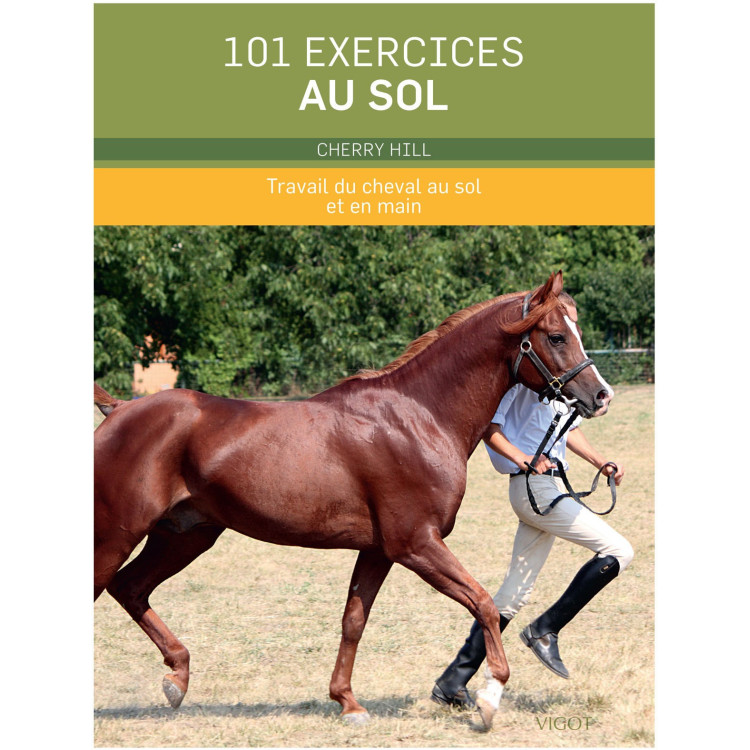 101 exercices au sol