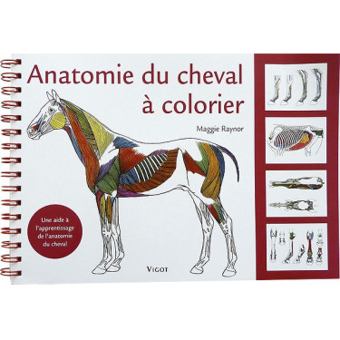 Anatomie du cheval à colorier Anatomie du cheval à colorier