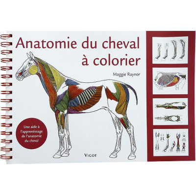 Anatomie du cheval à colorier