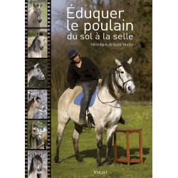 Éduquer le poulain du sol à la selle