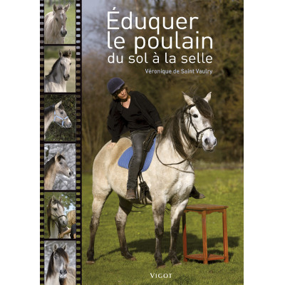 Éduquer le poulain du sol à la selle