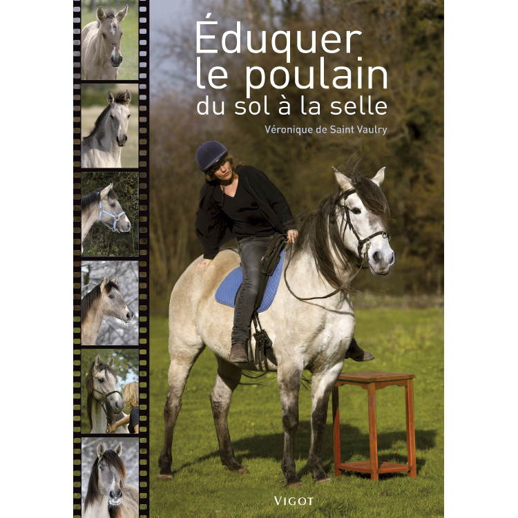 Éduquer le poulain du sol à la selle