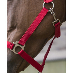 Ensemble licol et longe Club Ensemble licol et longe Club