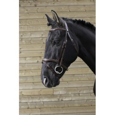 Bridon Norton Pro Découpé Havane Marron Bridon Norton Pro Découpé Havane Marron