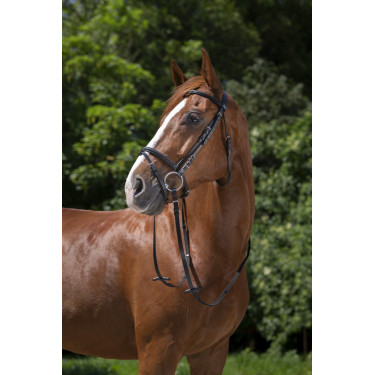 Bridon Riding World Muserolle combinée Noir Bridon Riding World Muserolle combinée Noir