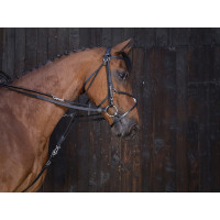 Rênes de gogue cuir Riding World Noir Rênes de gogue cuir Riding World Noir