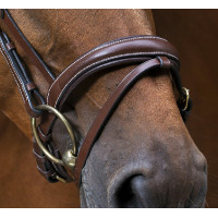 Bridon Eric Thomas Pro Wave Havane Marron