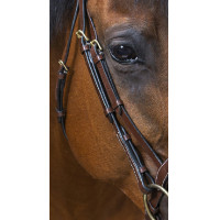 Bridon Eric Thomas Pro Wave Havane Marron