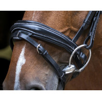 Bridon Eric Thomas Pro Design Noir