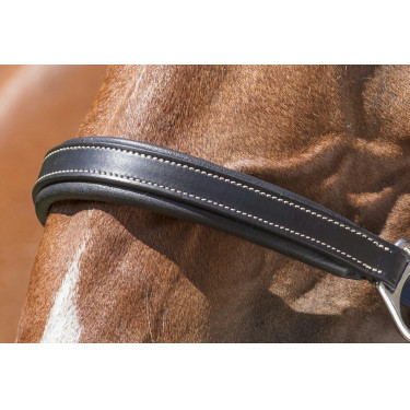 Licol cuir Norton Pro Grooming Licol cuir Norton Pro Grooming
