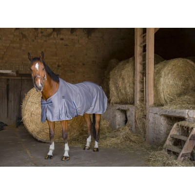 Chemise Equi-Theme Cool Dry Gris