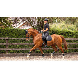 Tapis LeMieux dressage Soft Shell antidérapant Noir Tapis LeMieux dressage Soft Shell antidérapant Noir