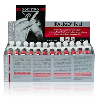Equistro Ipaligo Foal Equistro Ipaligo Foal