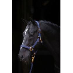 Licol TopLine Covalliero Bleu marine Licol TopLine Covalliero Bleu marine