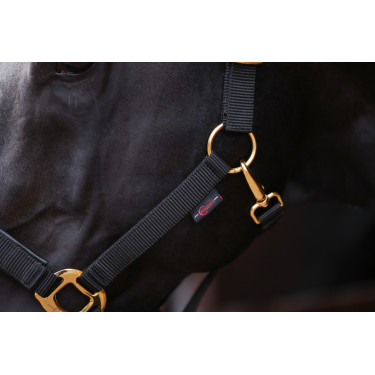 Licol TopLine Covalliero Noir