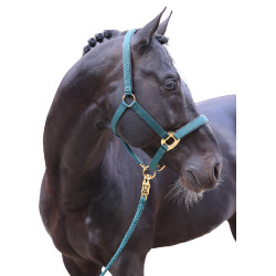 Licol TopLine Covalliero Vert forêt