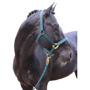 Licol TopLine Covalliero Licol TopLine Covalliero