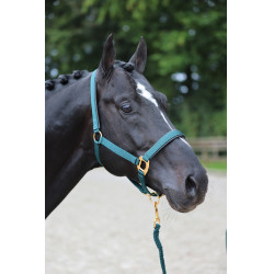 Licol TopLine Covalliero Vert forêt