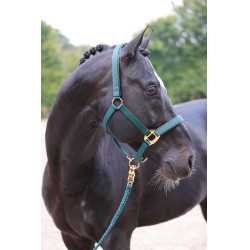 Licol TopLine Covalliero Vert forêt