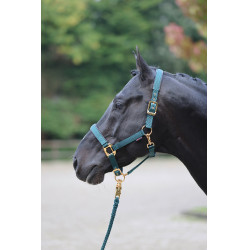 Licol TopLine Covalliero Vert forêt