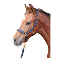 Licol poulain TopLine Covalliero Bleu marine Licol poulain TopLine Covalliero Bleu marine