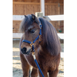 Licol poulain TopLine Covalliero Bleu marine