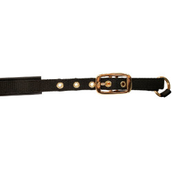 Licol poulain TopLine Covalliero Noir