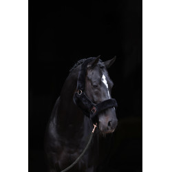 Licol SuperSoft Covalliero Noir