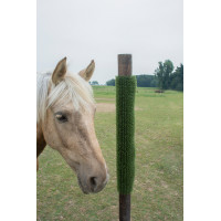 Plaque de grattage et de nettoyage KratzPad Kerbl Vert