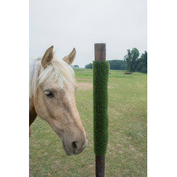 Plaque de grattage et de nettoyage KratzPad Kerbl Vert