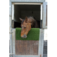 Plaque de grattage et de nettoyage KratzPad Kerbl Vert