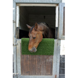 Plaque de grattage et de nettoyage KratzPad Kerbl Vert