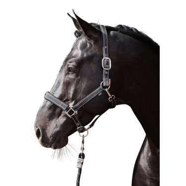 Licol Reflective Covalliero Licol Reflective Covalliero