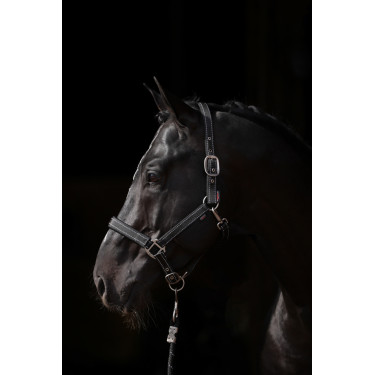 Licol Reflective Covalliero Licol Reflective Covalliero