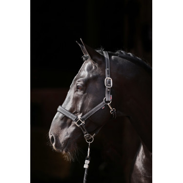 Licol Reflective Covalliero Licol Reflective Covalliero