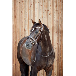 Bridon anatomique Horze Somerset Marron foncé Bridon anatomique Horze Somerset Marron foncé