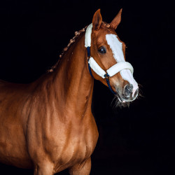 Licol mouton Horze Lincoln Dress blue / blanc cassé Bleu Licol mouton Horze Lincoln Dress blue / blanc cassé Bleu