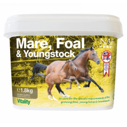 Juments, poulains et jeunes chevaux NAF Juments, poulains et jeunes chevaux NAF