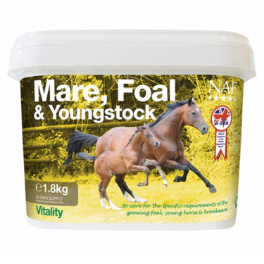Juments, poulains et jeunes chevaux NAF Juments, poulains et jeunes chevaux NAF